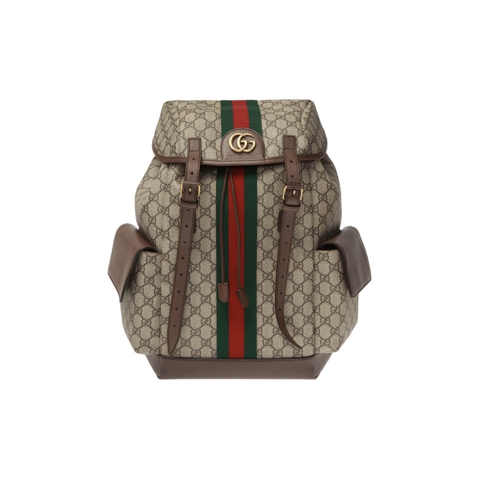 Gucci Ophidia Knapsack Medium Canvas Replica Bags