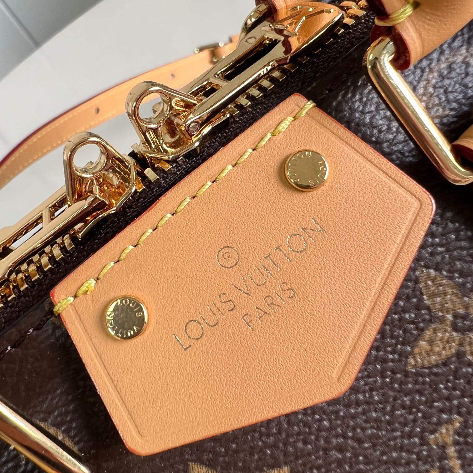 LV Speedy 20 Medium Cowhide Replica Bags Louis Vuitton