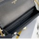 Chanel WOC Medium Cowhide Replica Bags