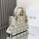 Dior Lady Dior Medium Embroidery Replica Bags