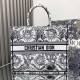 Dior Book Tote Large Embroidery Replica Bags