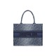 Dior Book Tote Medium Embroidery Replica Bags