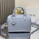 Dior Groove 25 Cowhide Replica Bags