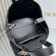 Dior Toujours Medium Embroidery Replica Bags